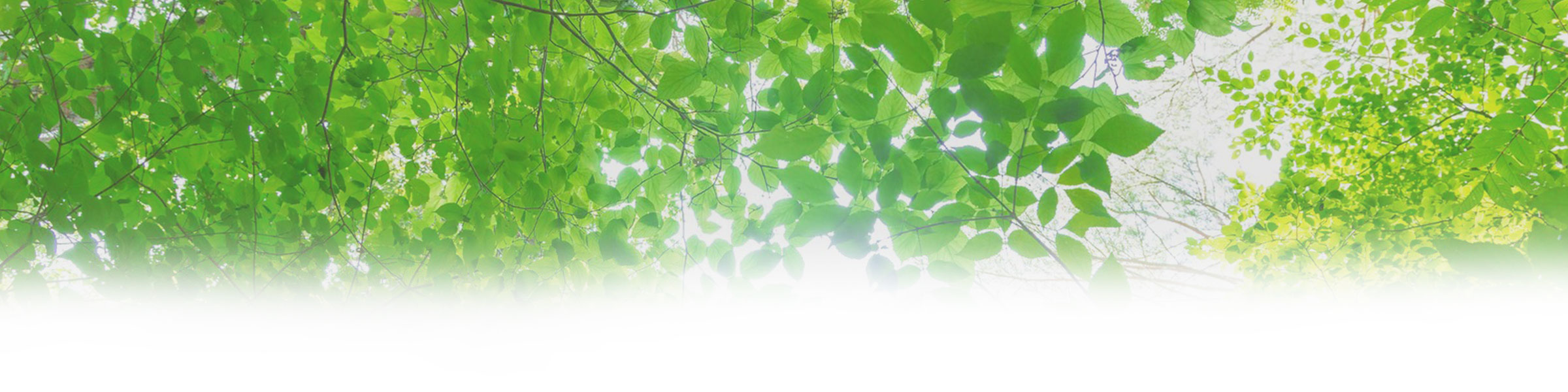 理学療法士・作業療法士・言語聴覚士(pt･ot･st)国家試験対策専門予備校